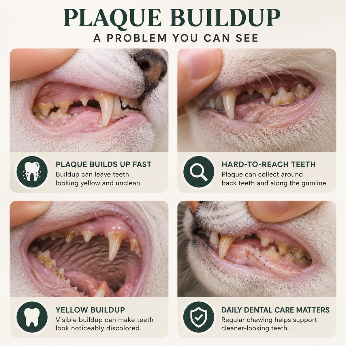 ChompClean™ Cat Dental Care