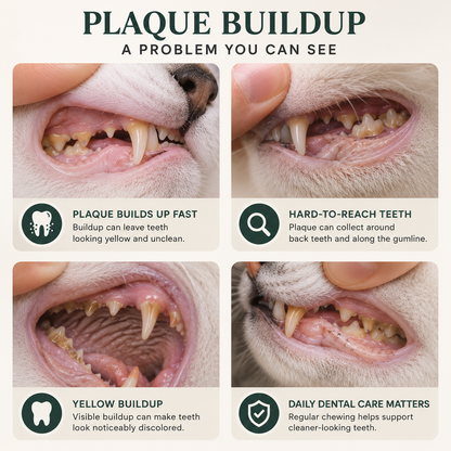 ChompClean™ Cat Dental Care
