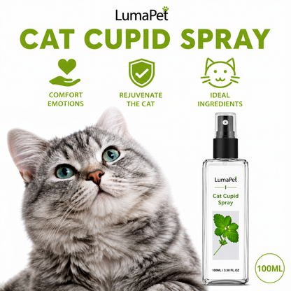 Cat Cupid Spray