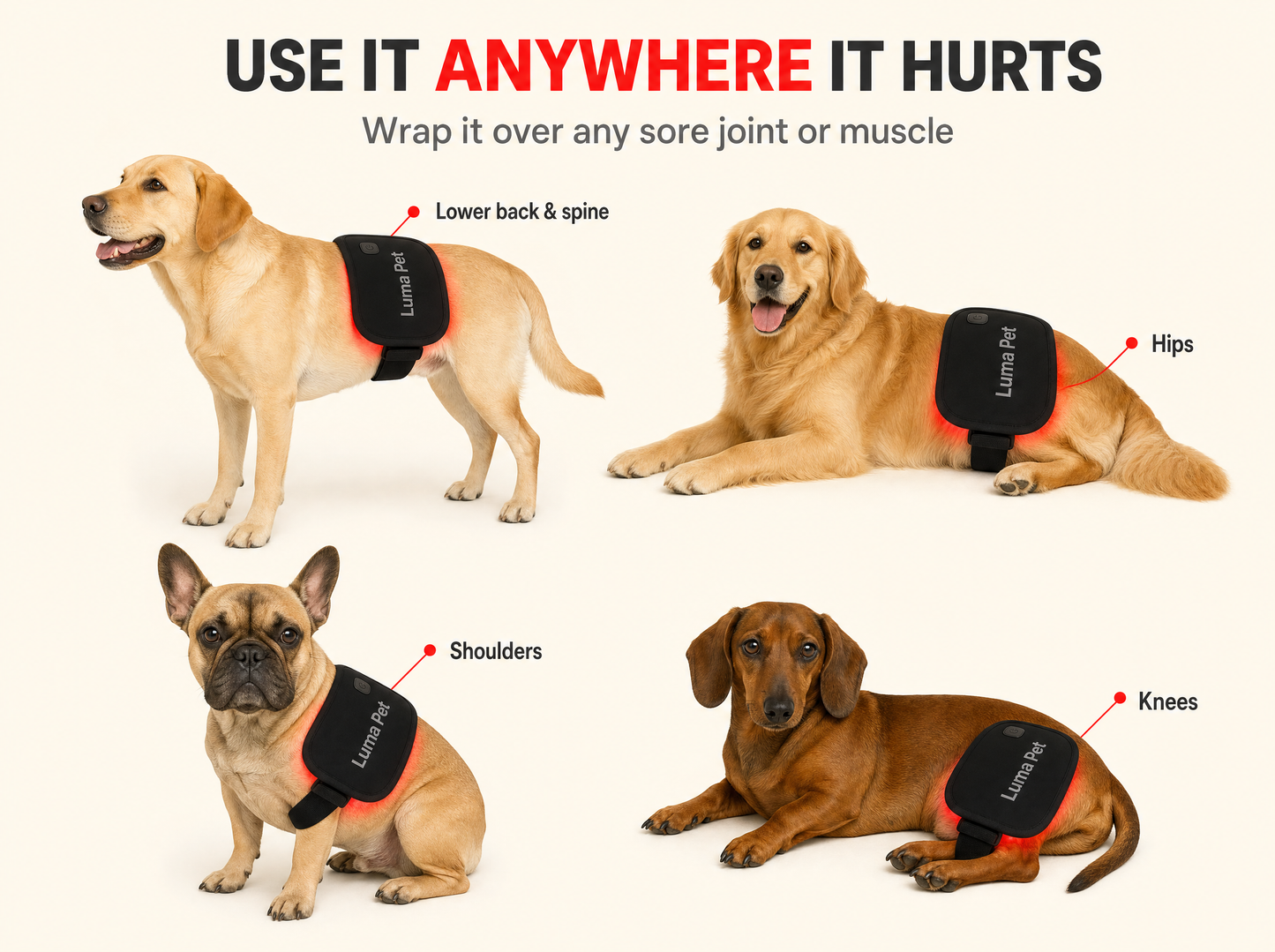 Luma Pet Red Light Pad