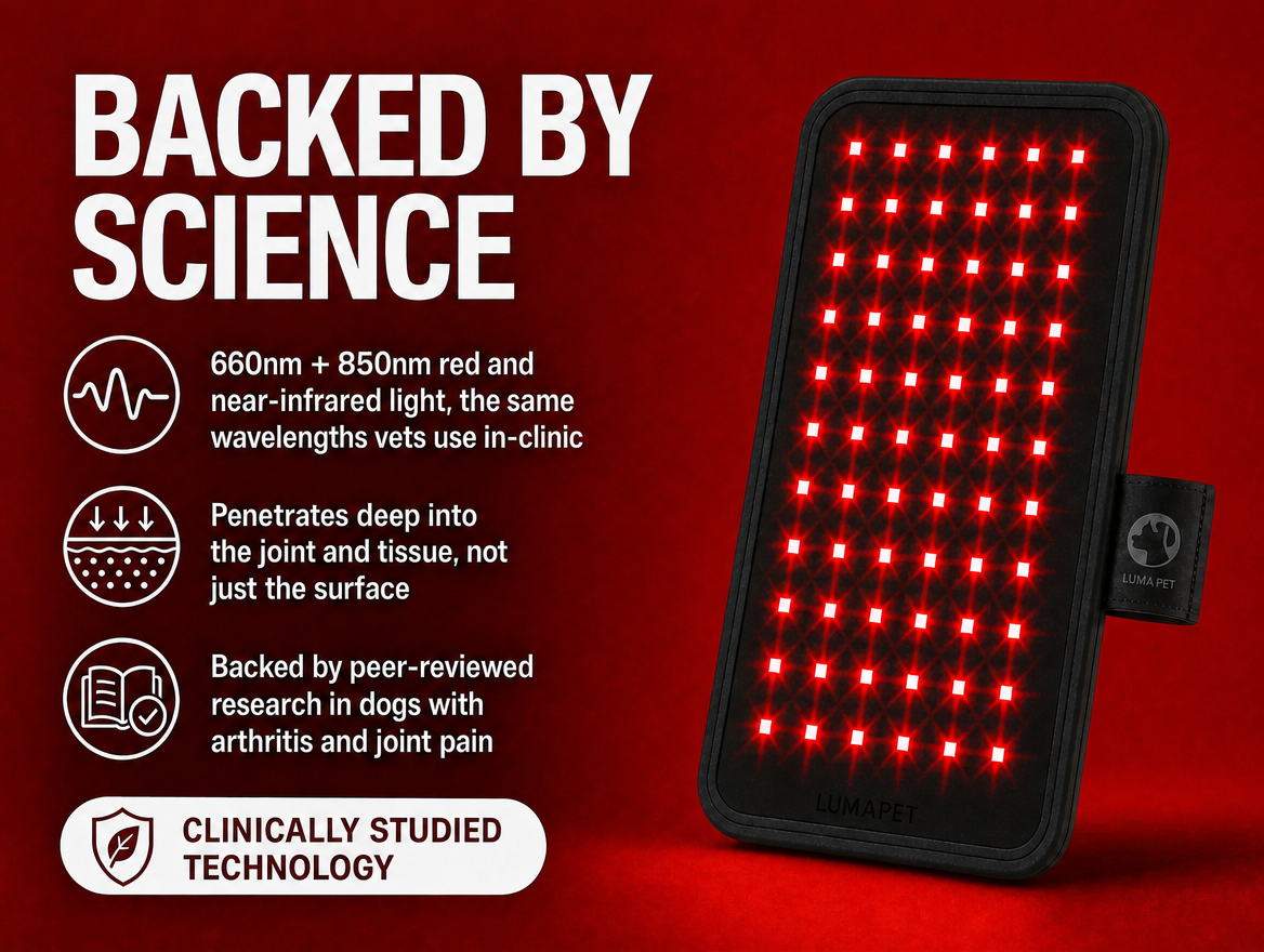 Luma Pet Red Light Pad